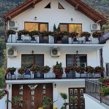 Casa Mimi Lägenhet Băile Herculane Exteriör bild