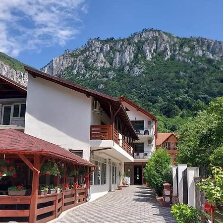 Casa Mimi Lägenhet Băile Herculane Exteriör bild