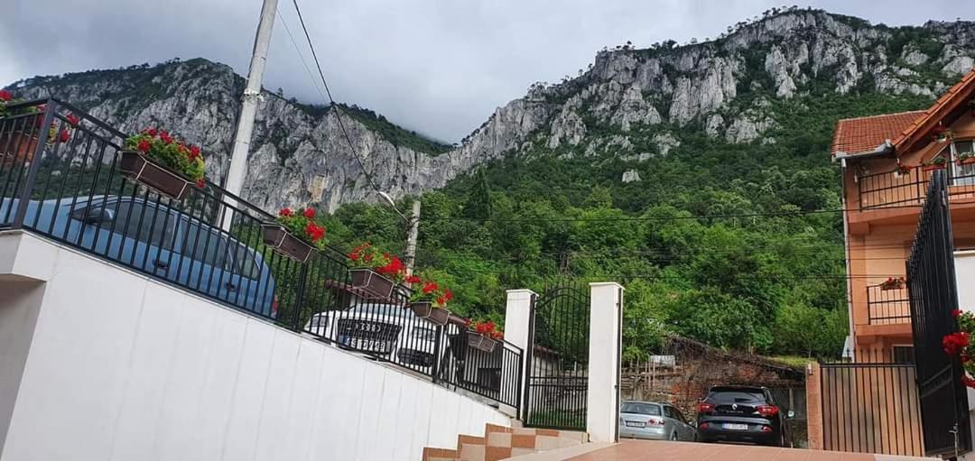 Casa Mimi Lägenhet Băile Herculane Exteriör bild