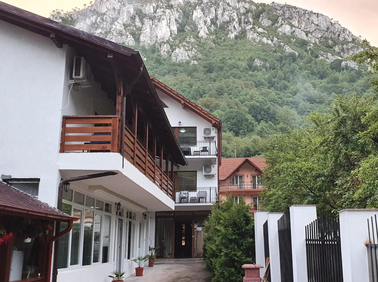 Casa Mimi Lägenhet Băile Herculane Exteriör bild