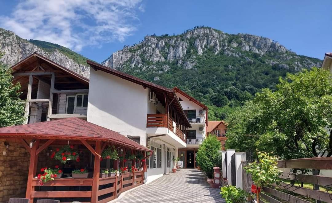 Casa Mimi Lägenhet Băile Herculane Exteriör bild
